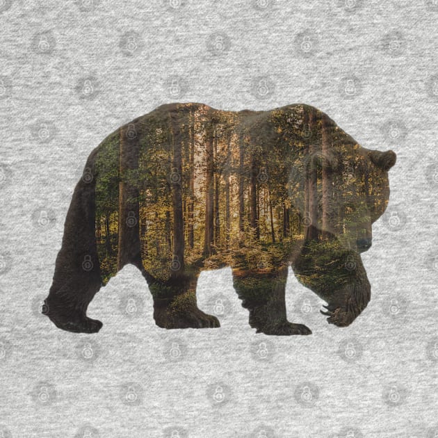 Grizzly Bear Silhouette with Foggy Forest by mikels